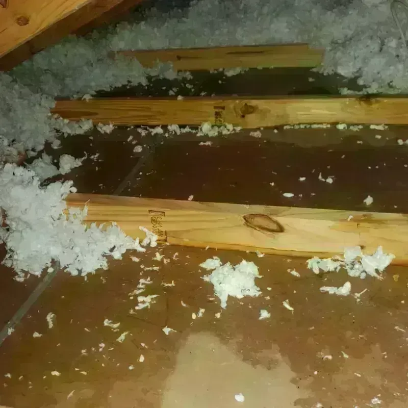 Attic Water Damage in Bucyrus, OH